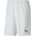 PUMA Team goal 23 knit shorts m