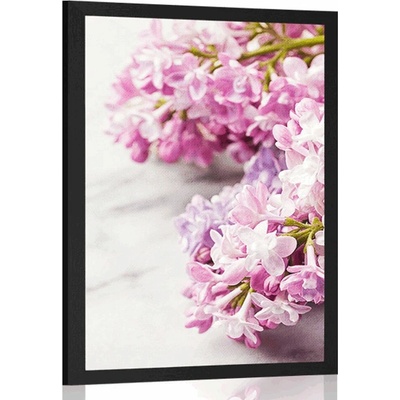 Plakát šeřík na mramoru - 40x60 no frame