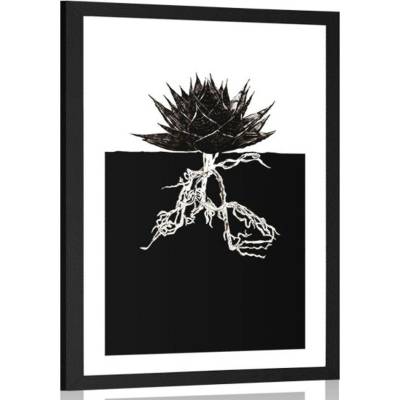 Plakát s paspartou nesmrtelnost rostliny - 60x90 no frame