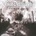 GOD DETHRONED - THE WORLD ABLAZE CD