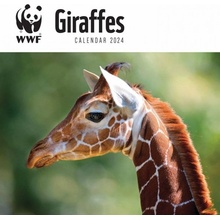 WWF Giraffes Square Wall Carousel Diaries 2023 2024