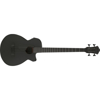 Ibanez AEGB420