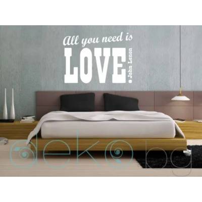 All you need is LOVE (13013)