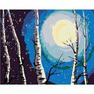 zuty Malování podle čísel Břízy měsíc a padající sníh 100 x 80 cm vypnuté plátno na rám
