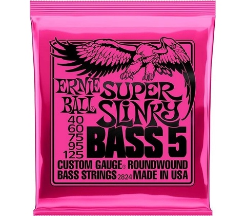 Ernie Ball 2824