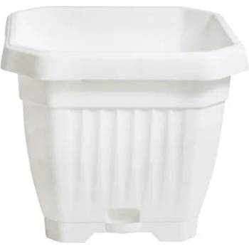 Image 1 of САКСИЯ РЕБРА - ОСМОЪГЪЛНА 17/17 Б--- (34694)