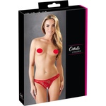 Cottelli Collection - секси прашка - дантела - червена - L