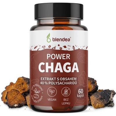 Blendea Chaga extrakt 60 kapslí