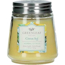 Greenleaf Citron Sol 123 g