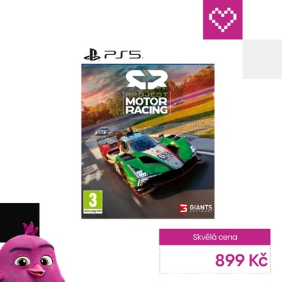 Project Motor Racing