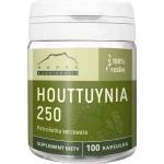 NANGA При настинка и грип - Хутиния, 250 mg х 100 капсули (418982 NNG)