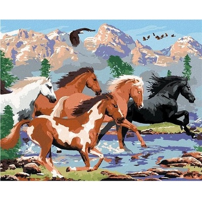 Zuty Malování podle čísel Divocí koně v horách Howard Robinson 80 x 100 cm bez rámu a bez vypnutí plá
