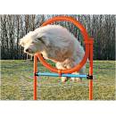 Trixie Agility proskakovací kruh / 65 x 115 cm