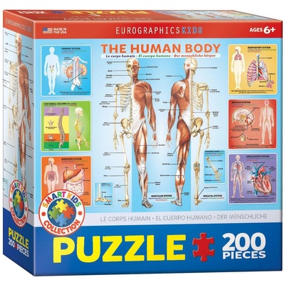 EUROGRAPHICS - Puzzle The Human Body 200 - 200 piese