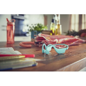 Image 1 of Philips TAK4607GR/00