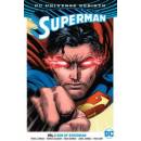 Superman Tomasi Peter J.