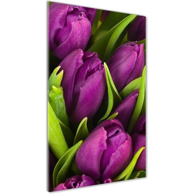 Vertikálny foto obraz sklo tvrdené Fialové tulipány 50x100 cm