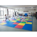 TRINFIT T12