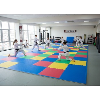 TRINFIT T12