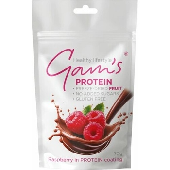 Gam's Proteín 70 g