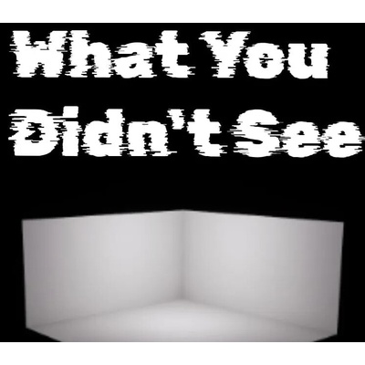 What You Didn't See