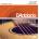 D'addario EJ42