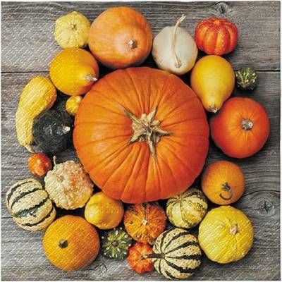 Paw ubrousky L Pumpkin Composition 33x33cm