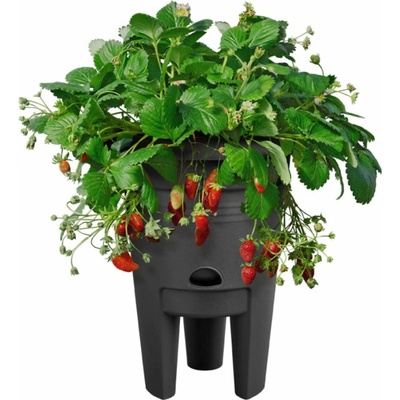 elho Kvetináč na jahody green basics 33 cm