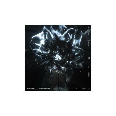 SCALPING - FLOOD REMIXED LTD. LP