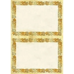 Galeria papieru Argo Diploma Gallery Papieru celtic A4 170G