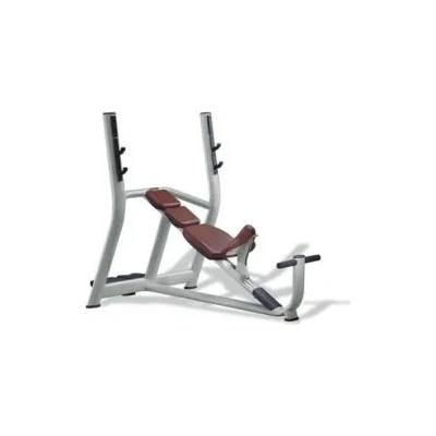 TechnoGym Selection Series Inclined Bench