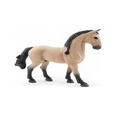 Papo Con Lusitano