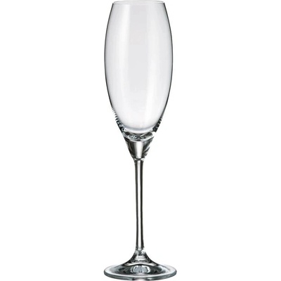 Crystal Bohemia BOHEMIA CARDUELIS POHÁR NA ŠAMPANSKÉ 6 x 290 ml