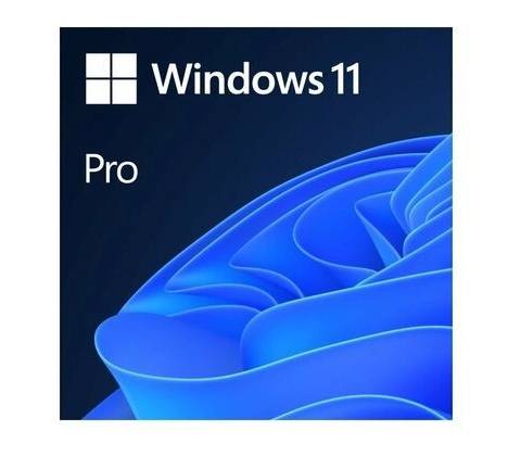 Windows 11 Pro 64Bit CZ OEM