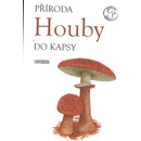 Houby