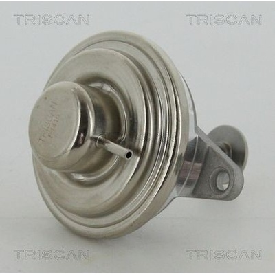 AGR - Ventil TRISCAN 8813 24054