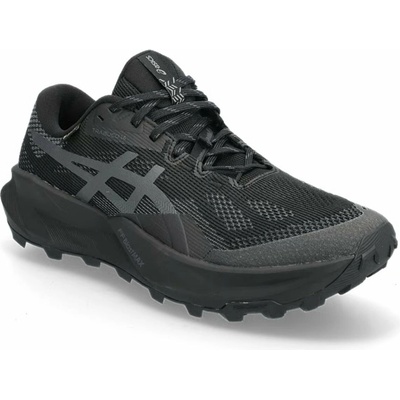 Asics Trabuco 14 GTX černá