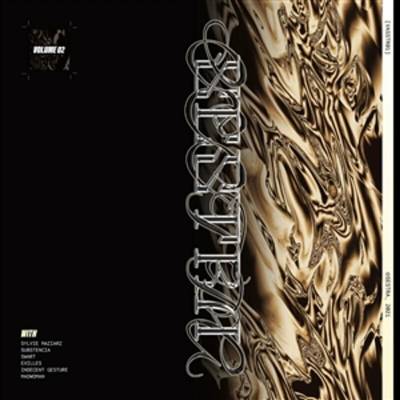 Various Artists - VASSTR01 - Volume 2 (LP)