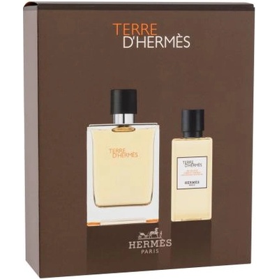 Hermès Terre d´Hermès подаръчен комплект: EDT 100 ml + душ гел 80 ml за мъже
