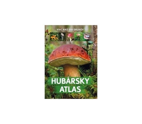 Atlas húb