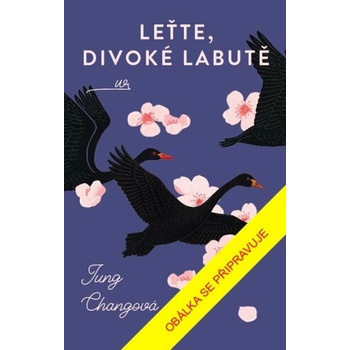 Leťte, divoké labutě