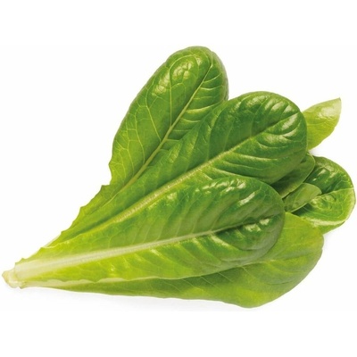 Click and Grow římský salát, kapsle se semínky a substrátem 9ks SGR50X9