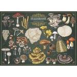 Trefl Puzzle 500 Finders Keepers: Mushrooms TREFL