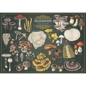 Trefl Puzzle 500 Finders Keepers: Mushrooms TREFL