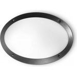 Polaris Outlet Овален фасаден аплик Ideal Lux Maddi | IP66 | E27 | Цена 18, 99€