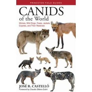 Canids of the World | Jose R. Castello (ISBN: 9780691176857)