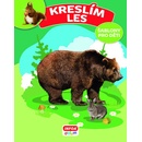 Kreslím les