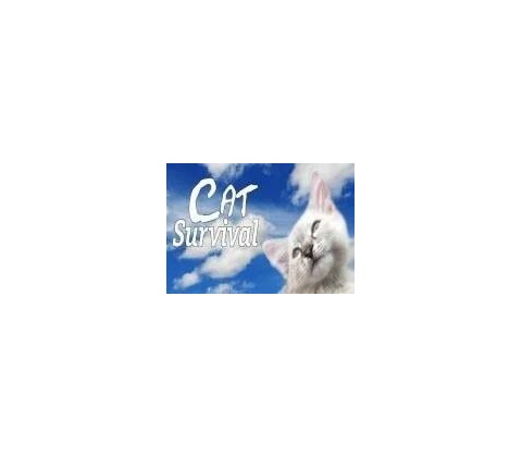 Cat survival