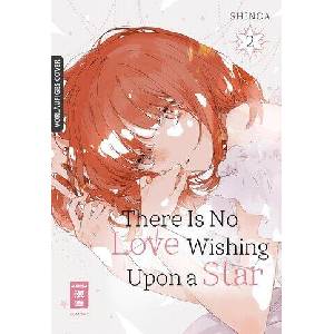 There Is No Love Wishing Upon a Star 02 (ISBN: 9783755505334)