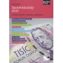 Spotřebitelský úvěr